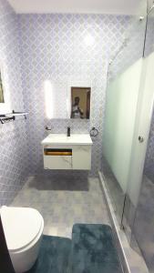 阿克拉Anc mall area east legon guest house的一间带卫生间、水槽和镜子的浴室