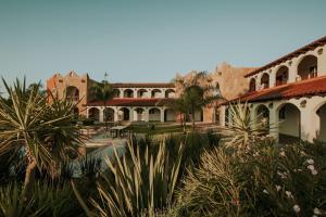Rancho GrandeHacienda Los Olivos, Valle de Guadalupe的棕榈树建筑的庭院