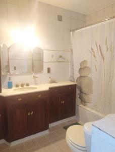 门多萨Tanino Guest House的一间带水槽、卫生间和淋浴的浴室