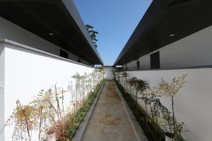 泰安Hotelarrive Taean Tiann HanokBeachResort的建筑一侧的走廊上,有植物