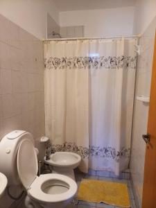 卡门-德巴塔哥内斯La casa de Lean的一间带卫生间和淋浴帘的浴室