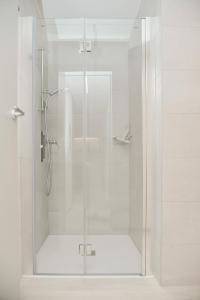 门德里西奥Modern apartment Dora的浴室里设有玻璃门淋浴