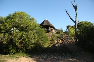 莫塞尔湾Garden Route Safari Camp的树上山顶的房子