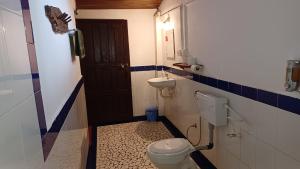 MolemNature's Nest Eco Resort Goa, Near Dudhsagar Waterfalls的一间带卫生间和水槽的浴室