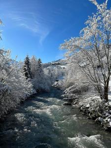 瓦尔·蒂利兹The River Pearl的一条有雪覆盖树木的河