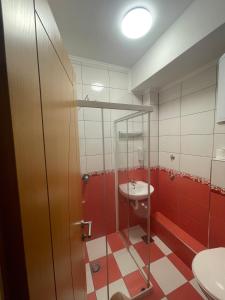 萨拉热窝阿达 - 奥托卡酒店的一间带水槽、淋浴和卫生间的浴室