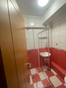 萨拉热窝阿达 - 奥托卡酒店的带淋浴和盥洗盆的浴室