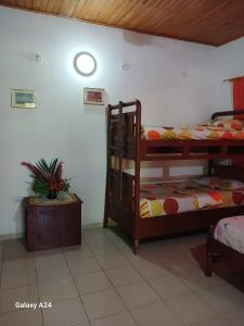 洛斯纳兰霍斯Hospedaje Eden的一间卧室设有两张双层床和盆栽植物