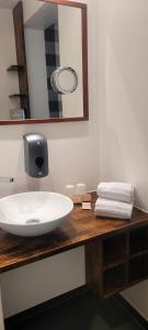 弗莱堡Kreuzblume Hotel & Weinstube的浴室设有白色水槽和镜子