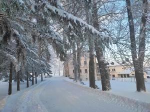 克拉利基Hotel Poutní Dům的一条有树木和建筑物的雪覆盖的街道