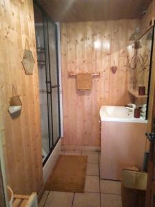 圣莫里斯堡Charmant duplex 70m2,type châlet savoyard的带淋浴和盥洗盆的浴室