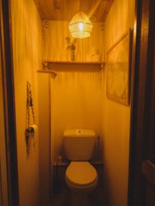 圣莫里斯堡Charmant duplex 70m2,type châlet savoyard的一间设有卫生间和灯的小浴室
