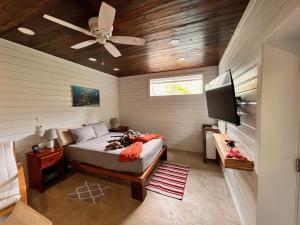 RiversdaleLa Vida Belize - Studio的一间卧室配有一张床和吊扇