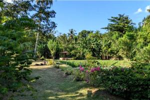 达瓦拉维Green View Safari Paradise的种满鲜花和树木的花园以及小径