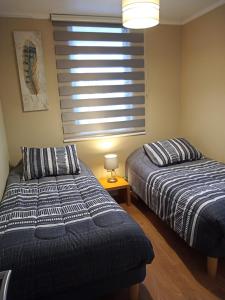 圣佩德罗德拉帕斯San Pedro de la Paz by Luxury Apartment Chile的卧室设有两张床、窗户和一盏灯