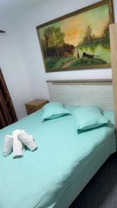 阿祖加Nova Montan Azuga的一张带两个枕头的床和墙上的绘画