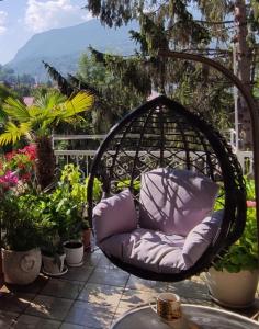萨拉热窝Vila Džan的紫色椅子坐在种有植物的庭院里