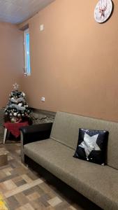 阿祖加Nova Montan Azuga的带沙发和圣诞树的客厅