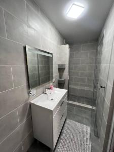 ReniКолібрі的浴室配有盥洗盆和带镜子的淋浴