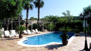 Sant Pau dʼOrdal埃尔雷契尔旅馆的庭院内一个带椅子和棕榈树的游泳池