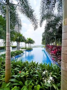 普特拉贾亚MFA Putrajaya Homestay的棕榈树度假村内的游泳池
