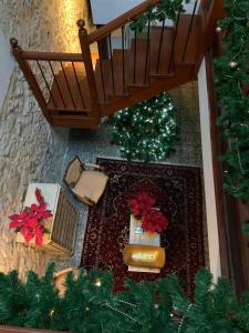 大加那利岛拉斯帕尔马斯Casa Doranda Vegueta的圣诞树和楼梯间