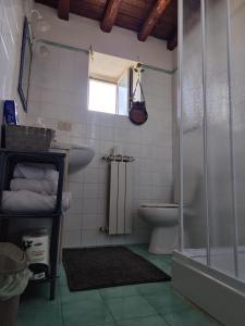 安圭拉萨巴齐亚Chalet Romantico Sul Lago的浴室配有卫生间、盥洗盆和淋浴。
