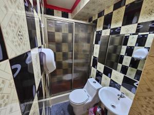 Alto HospicioHotel la Pampa的浴室配有卫生间、盥洗盆和淋浴。