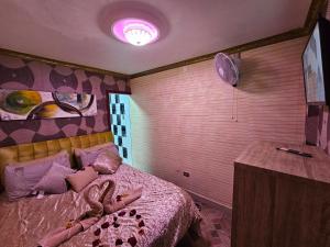 Alto HospicioHotel la Pampa的一间卧室配有一张粉红色墙壁的床