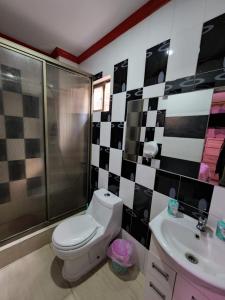 Alto HospicioHotel La Pampa的浴室配有卫生间、淋浴和盥洗盆。