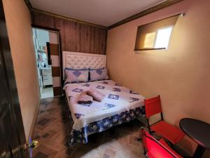 Alto HospicioHotel La Pampa的一间小卧室,配有一张床和镜子