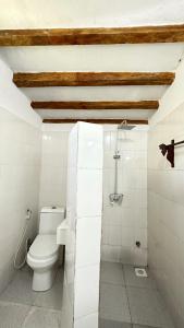 江比阿Cozy Lodge - Guesthouse的白色的浴室设有卫生间和淋浴。
