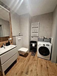 奥斯特罗达Apartament Drwęcka的一间带水槽和洗衣机的浴室