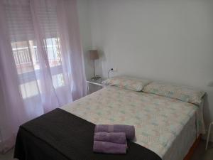 哈恩Apartamento de 3 dormitorios Jardinillos Centro的一间卧室配有一张带紫色毛巾的床