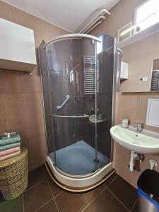 绍尔戈陶尔扬Urban Loft的带淋浴和盥洗盆的浴室