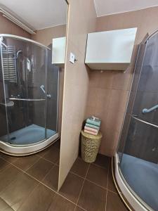 绍尔戈陶尔扬Urban Loft的带淋浴和玻璃淋浴间的浴室