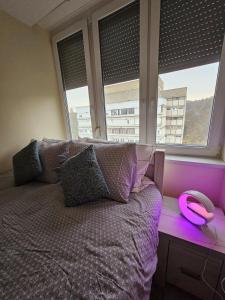 绍尔戈陶尔扬Urban Loft的一间卧室,配有一张带粉红色碗的床