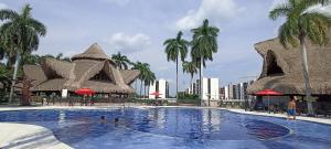 弗兰德斯Apto Flandes Tolima的一个带遮阳伞和棕榈树的游泳池