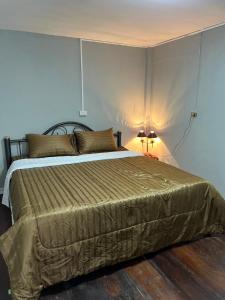 乌隆他尼Udon House的一间卧室配有一张大床,上面有灯