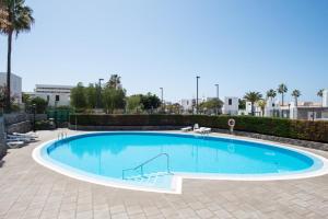 美洲海滩Precioso apartamento en el centro de Las Américas a 100 metros de la playa的棕榈树庭院内的大型游泳池