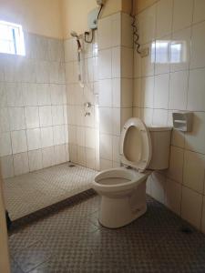 萨加达Pas-it Hostel Sagada的一间带卫生间和淋浴的浴室