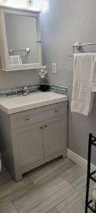 墨尔本Cozy Condo For Rent In Melbourne Florida的浴室配有盥洗盆、镜子和毛巾