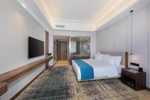 深圳深圳富邦国际酒店(南山科技园店)的配有一张床和一台平面电视的酒店客房