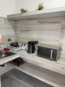 坎昆Alce33的厨房配有水槽和架子上的微波炉