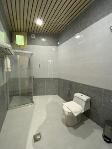 沙鲁拉HOTEL ALFAW PLAZA的一间带卫生间和淋浴的浴室
