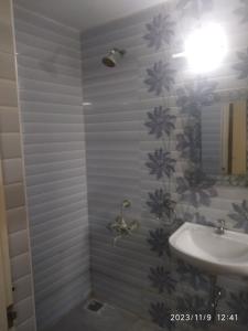 钦奈Royale Seaward Service Apartments的一间带水槽和淋浴的浴室