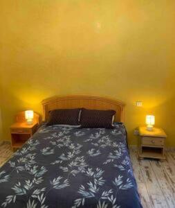 纳博讷Jolie Maison Jardin Piscine的一间卧室配有一张床、两个床头柜和两盏灯。