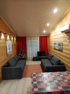 罗瓦涅米塔利亚第公寓的客厅配有两张沙发和一棵圣诞树