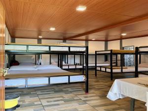 马西尼古蒂The Wild Farms By Gwestai的客房设有三张双层床和一张桌子。