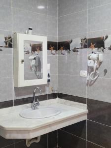 卢克索Blue Nile House的一间带水槽和镜子的浴室